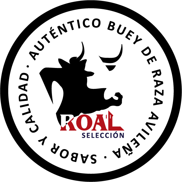 autentico-buey-de-raza-avilena-roal